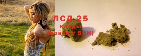 дмт Билибино
