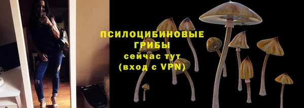 соль ск Михайловск