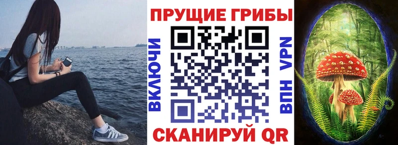 Псилоцибиновые грибы мухоморы  Кодинск 