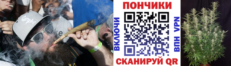 купить наркоту  Кодинск  Канабис тримм 